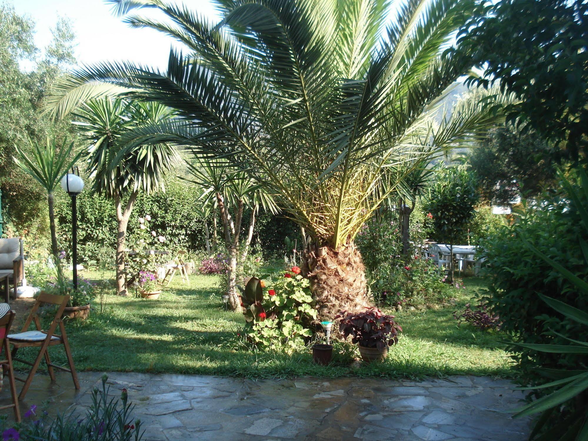 Villa Avra Dassia  Exterior photo